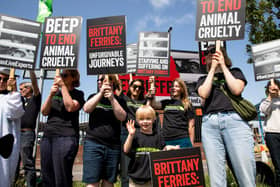 Compassion in World Farming campaigners gathered at the port outside Brittany Ferries to urge the company to reverse its decision to resume the live export of farmed animals from Ireland to France after a 30-year hiatus. 


Picture: Karen Bornhoft