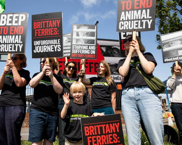 Compassion in World Farming campaigners gathered at the port outside Brittany Ferries to urge the company to reverse its decision to resume the live export of farmed animals from Ireland to France after a 30-year hiatus. 


Picture: Karen Bornhoft