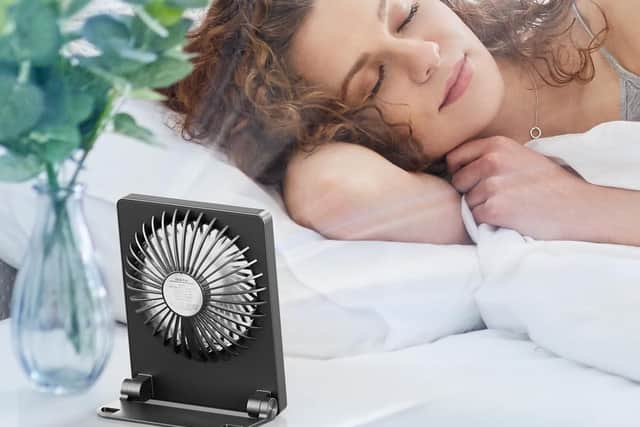 On a low setting, the fan is quiet enough to sleep next to