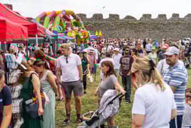 Portchester Gala attracted huge crowds this weekend as the castle hosted a range of stalls, food trucks, a dog show, a funfair and much more. 

Picture: Alec Chapman