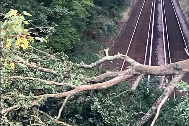 A tree fell overnight on the line near Portchester 