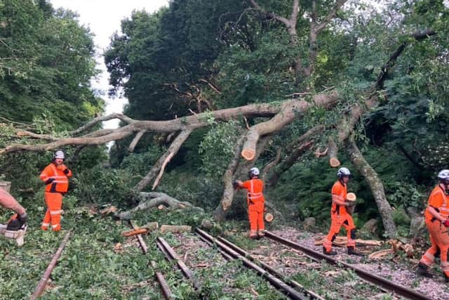 Workers on track remove tree 