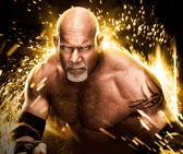 Former WCW champion Bill Goldberg will be wrestling what is anticipated to be his retirement match at the weekend's WWE Saturday Night Main Event.