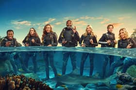 Cast of Shark! Celebrity Infested Waters on ITV