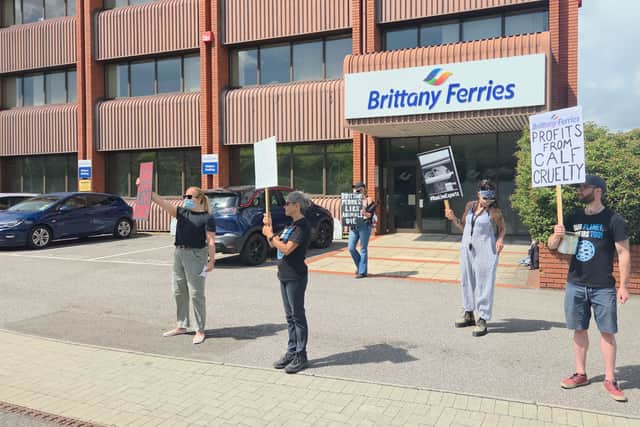 Protests have continued outside Brittany Ferries this week as concerned citizens urge the company to back out of its decision to resume live exports.
