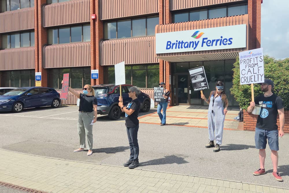 Protests have continued outside Brittany Ferries this week as concerned citizens urge the company to back out of its decision to resume live exports. 
