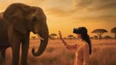 Marwell Zoo has launched a thrilling virtual reality safari experience. 

Picture: Wild Immersion