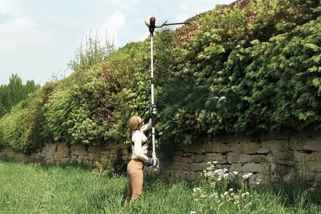 Extendable trimmers are great for reaching the tops of tall hedges or shrubs