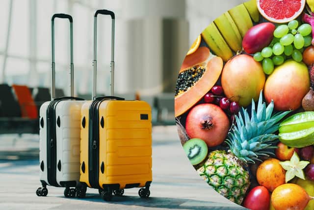 Can I bring food back from holiday? Travel rules for food -  including restrictions on fruit and meat