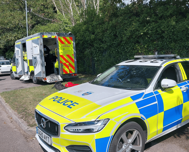 Hundreds of arrests were made across Hampshire and the Isle of Wight for drink and drug driving as part of a police crackdown.