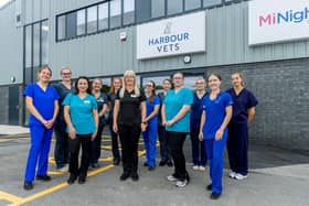 Pictured: The staff at Harbour Veterinary Hospital. 

Picture: David McHugh