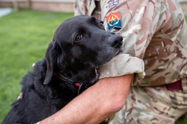 Royal Navy, Army, and RAF personnel in military accommodation will face fewer obstacles to owning pets under new rules introduced this week. Pictured: A service member with his dog Luna.