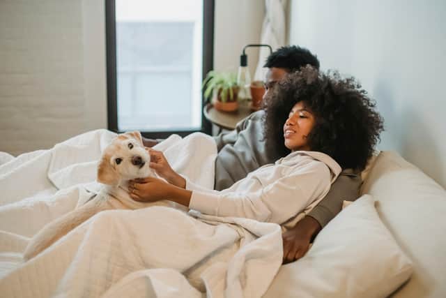 The last thing you want is fleas in your bed.