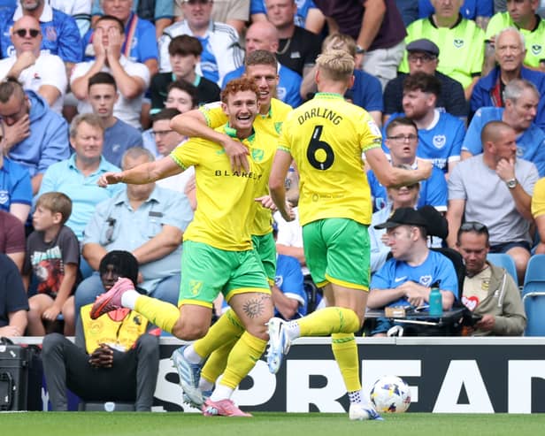 Pompey fell to defeat to Norwich City today. Pic. Getty