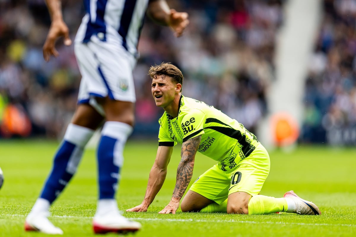 Socceroos boss reveals why he snubbed new Portsmouth ace Adrian Segecic after flying Championship start 