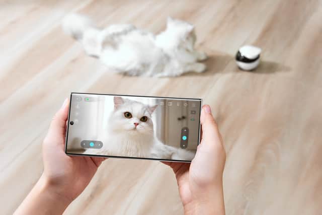 The Enabot app is superb, and really makes the most of the enhanced image sensor