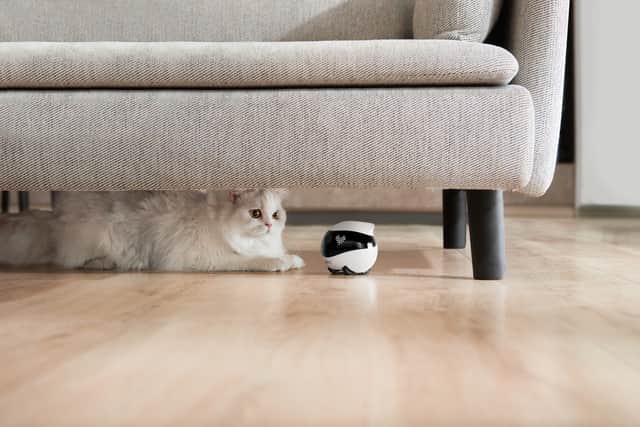 The Ebo Air 2 is much smarter, and has a significantly better camera than its predecessors