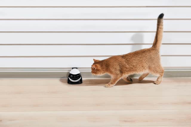 It returns automatically to its little dock to charge - but not every time