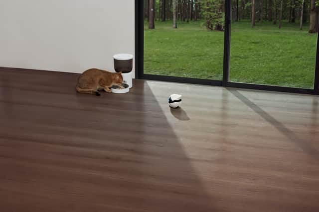 The way it follows pets around is impressive, but it can be prone to the occasional error