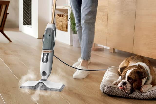 Fancy a bargain steam cleaner?