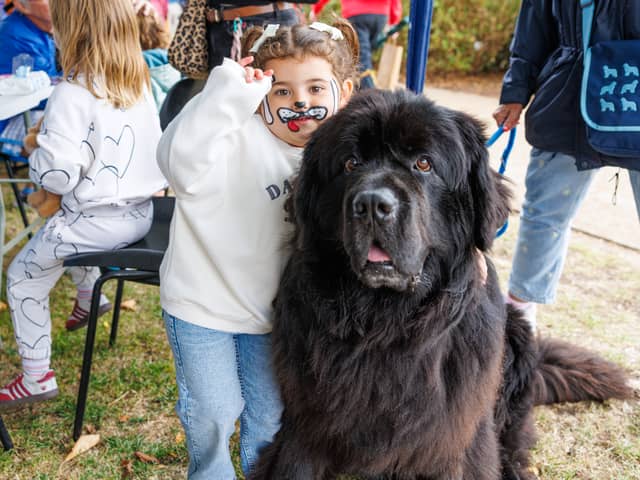Crowds enjoyed the final days of the season at Stubbington Ark for its annual Summer Fayre