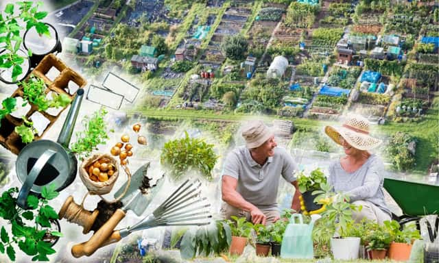 Allotments are plots of land people can rent from their local council to grow their own produce