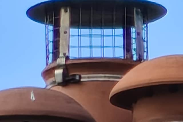 At 100x zoom, a lot of detail is lost, but it's still pretty impressive