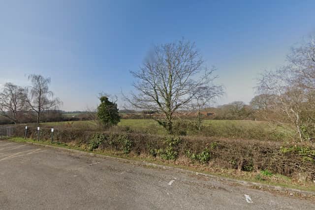 A boy has been arrested following the attempted rape of an 11-year-old girl in Priory Park, Bishop's Waltham.