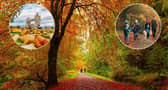 The weather over the past summer may trigger an especially vibrant display this autumn