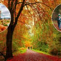 The weather over the past summer may trigger an especially vibrant display this autumn