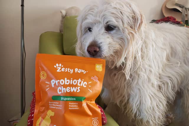 Rupert can't wait for his daily dose of probiotics