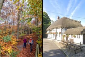 Queen Elizabeth Country Park has it all with woods to explore, a park, an assault course, bike trails, a cafe and even a dog wash for your four-legged friends. It really is special at this time of year. And luckily on your way home just a short drive down the A3 is the Red Lion at Charlton which has great food, a cosy feel  - as well as fantastic views!