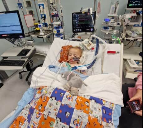 Fox receiving treatment in hospital