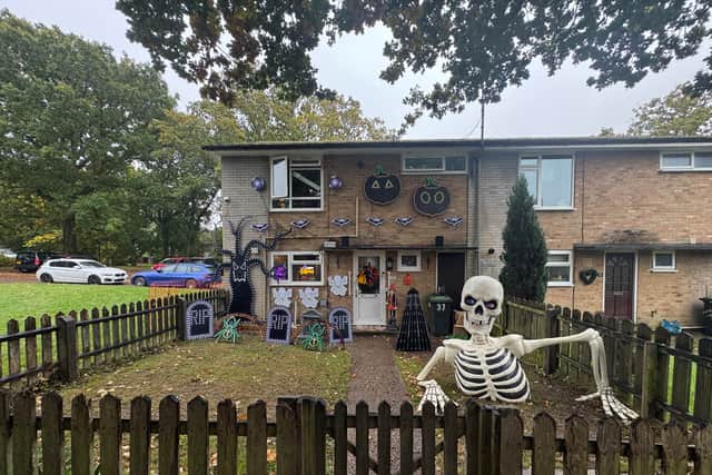 Liam McErlean has transformed his family home into a Halloween haven with a major light show that has taken seven months in the making.