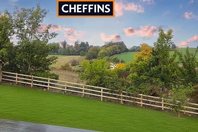 The garden is large and freshly landscaped