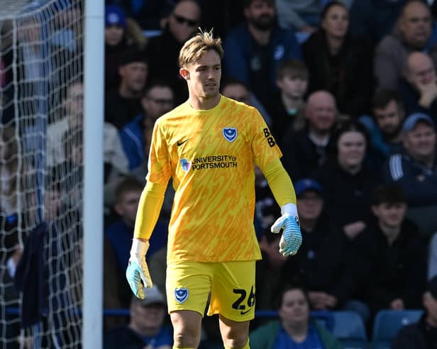 Pompey keeper Josef Bursik is currently on loan at League One AFC Wimbledon. Pic: Graham Hunt