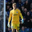 Pompey keeper Josef Bursik is currently on loan at League One AFC Wimbledon. Pic: Graham Hunt