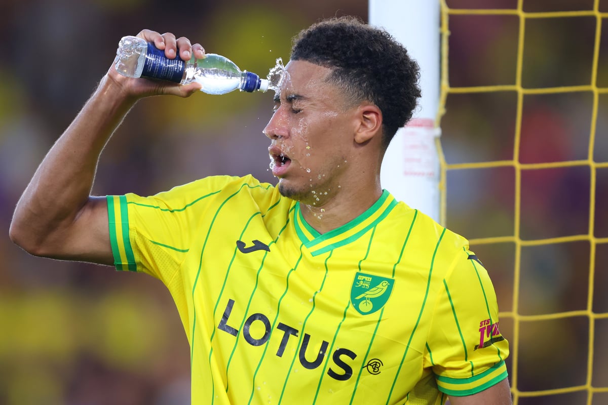 Portsmouth-linked defender joins former Fratton boss as ex-Sheffield Wednesday man’s touted with high-profile return