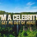 New logo for I'm a Celebrity in 2025