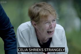 “Celia Imrie screeching into a well is absolutely 10/10 Television”