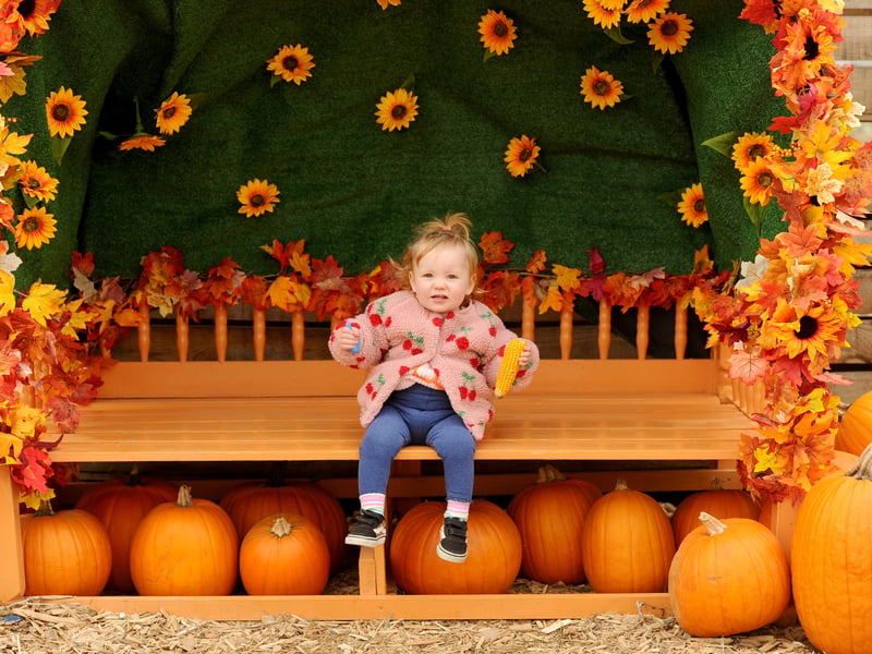 Rogate Pumpkin Patch in Rogate near Petersfield, has celebrated its opening weekend.

Pictured is: Annabelle Copeland (17 months old) from Southsea.

Picture: Sarah Standing (181025-5728)