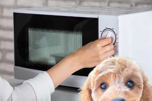 The rather gruesome dog in a microwave legend stems from a mistrust of modern technology, rather than an absent-minded owning trying to cut corners.