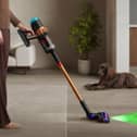36 per cent are fed up with their vacuum constantly being clogged.
