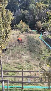 A worker seen on the site near Fareham Community Hospital
