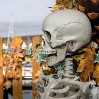 Halloween events at Port Solent announced to bring spooky entertainment for all ages