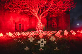 The Poppy Garden at HMS Sultan, created by RNRM VCC cadets. It has been made every year for five years.