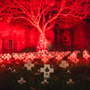 The Poppy Garden at HMS Sultan, created by RNRM VCC cadets. It has been made every year for five years.