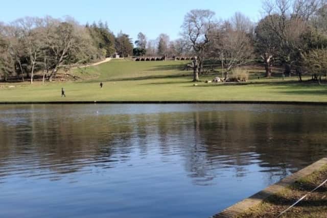 Existing modern lake wall at Staunton Country Park