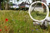 The research challenged a long-held assumption that promoting ecological benefits was enough to win over the public