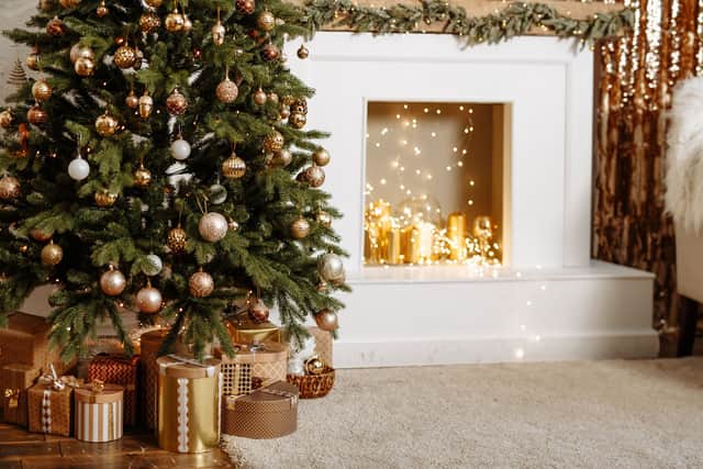 Eat your christmas tree: Recipes and flavours inspired by christmas trees